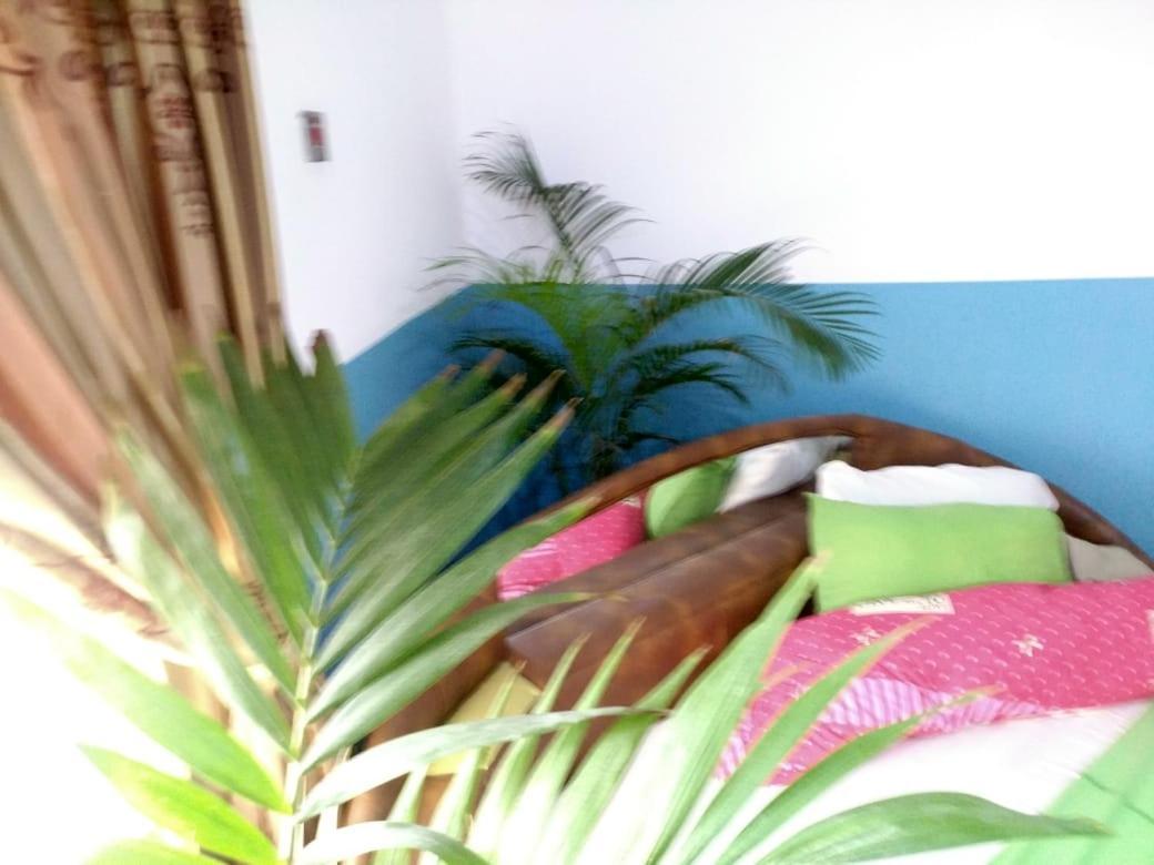 Elizz Guest House Janman 外观 照片